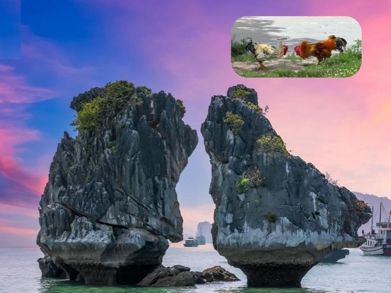 Hòn Trống Mái có tên gọi khác là hòn Gà Chọi