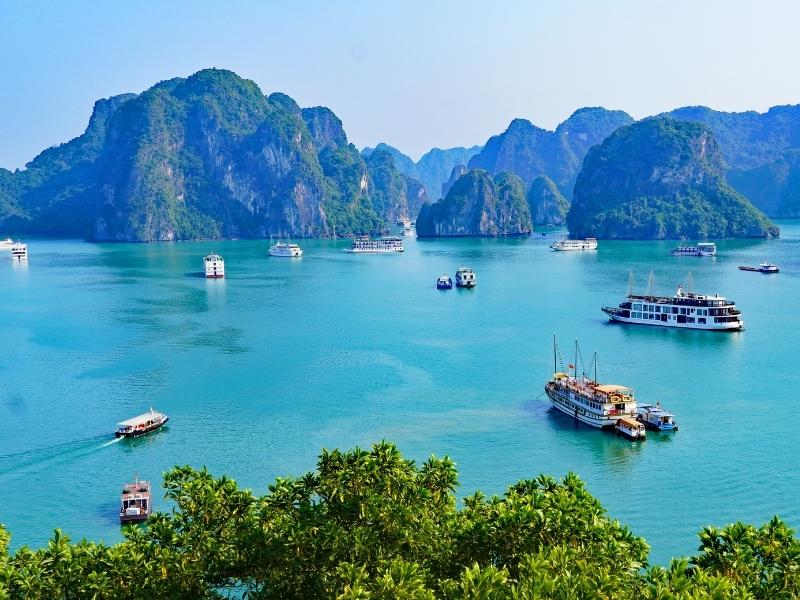 Tổng quan về các bến du thuyền Hạ Long
