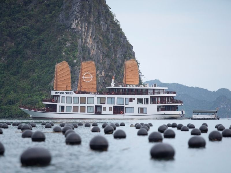 Ha Long cruise 2 days 1 night