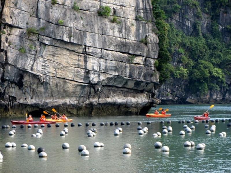 Tung Sau pearl farm