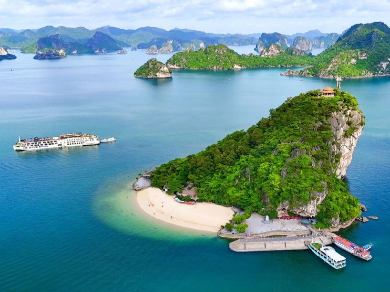 Đảo ti top