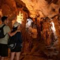 Ha Long Bay Cruise 3 Days 1 Night: Discovering Vietnam Beyond the Scenery