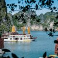 Thay Cave Bai Tu Long: Explore a Hidden Limestone Cave