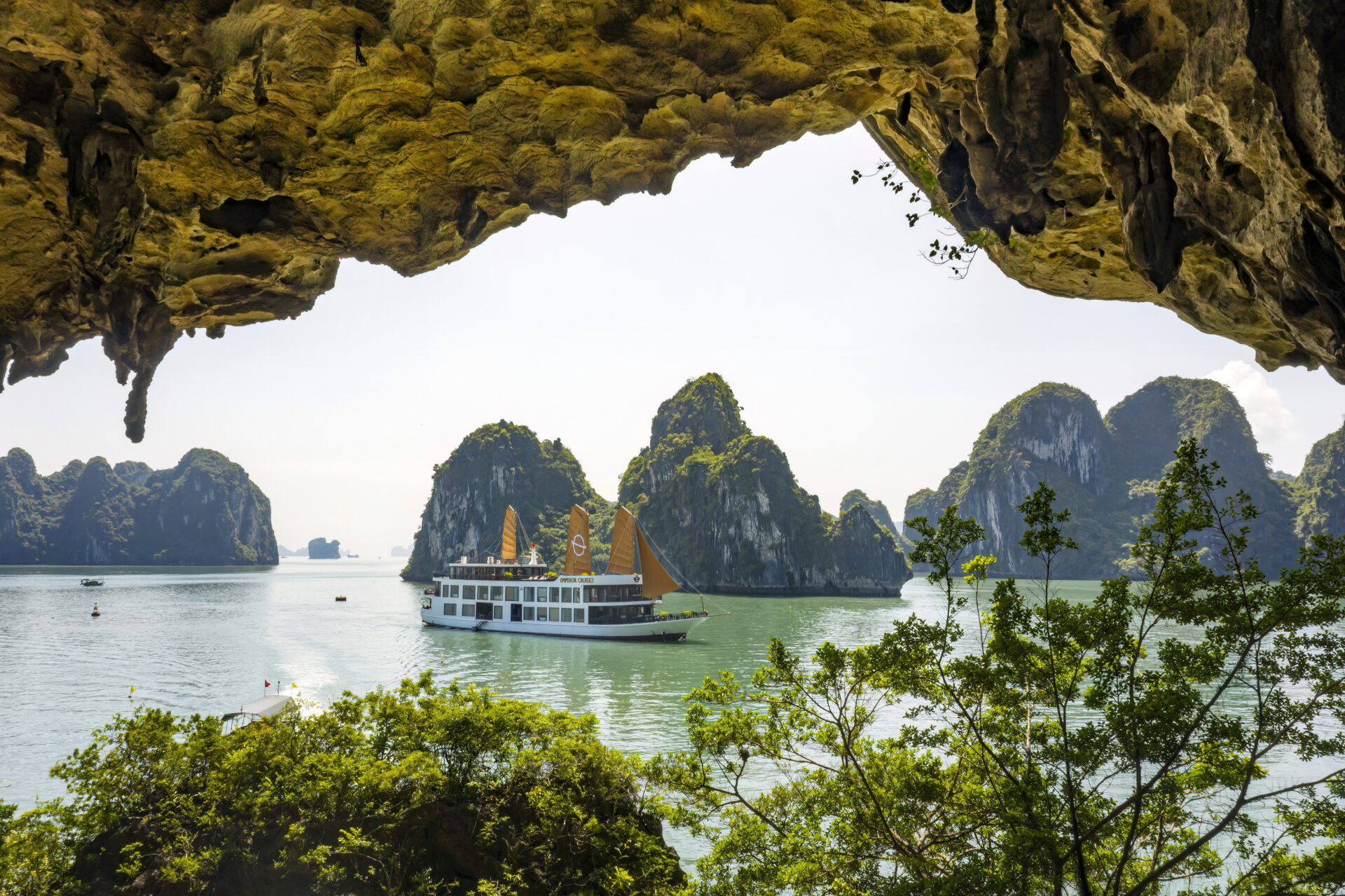 thay-cave-bai-tu-long