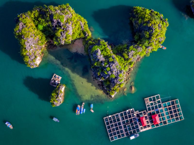 Làng chài cửa vạn