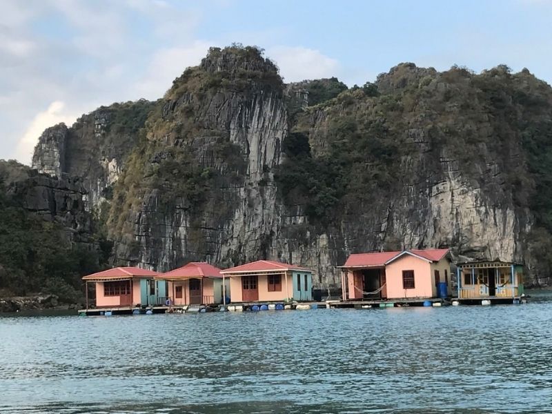 Làng chài Vung Viêng - Vẻ đẹp yên bình giữa Vịnh Bái Tử Long