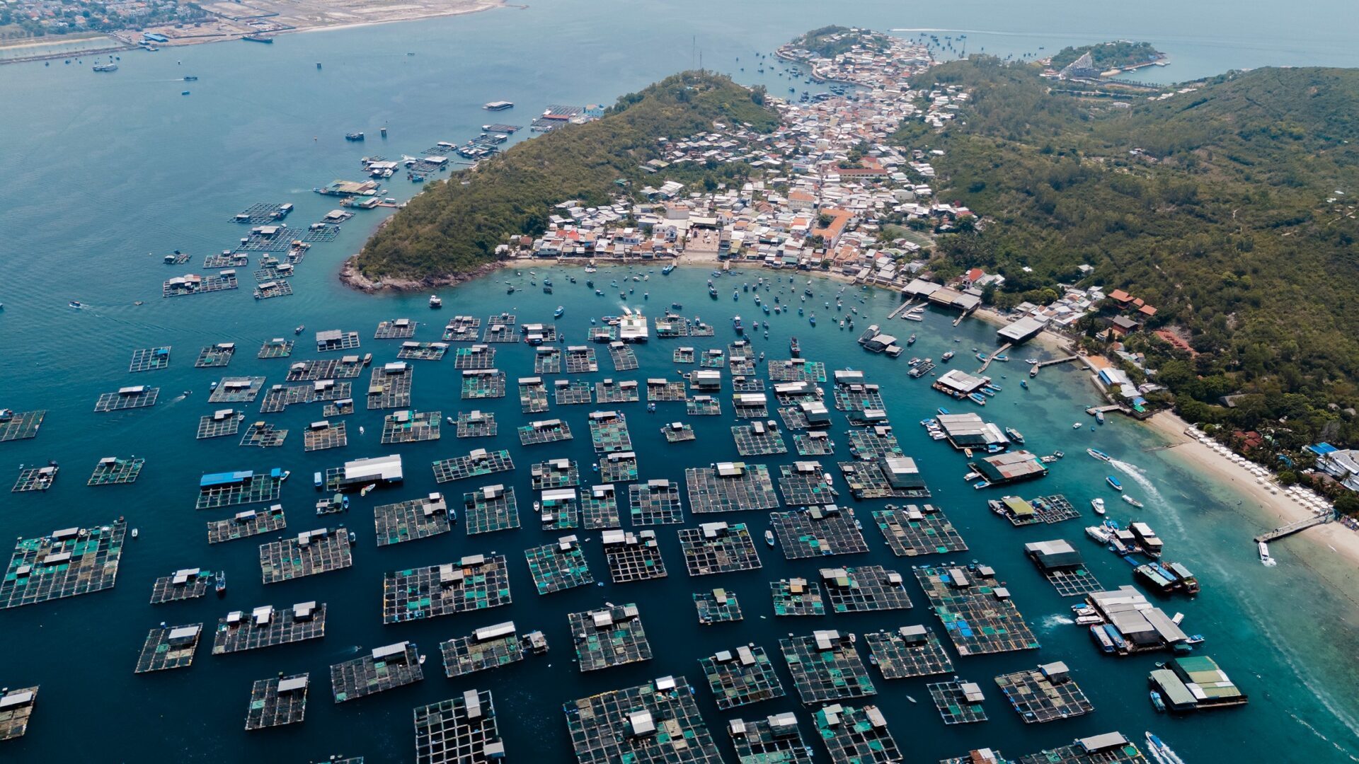tour du thuyền Nha Trang trong ngày